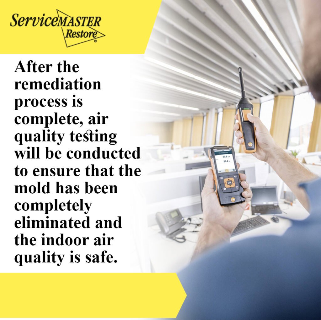 Mold Removal Services
